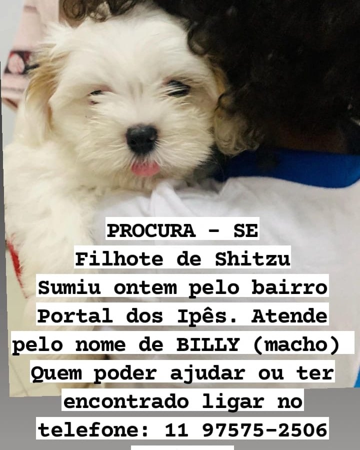 IMG_20211221_200604_771