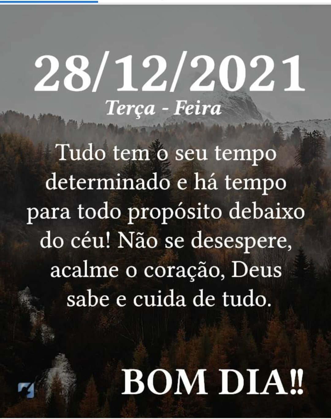 Screenshot_20211228-055540_Facebook