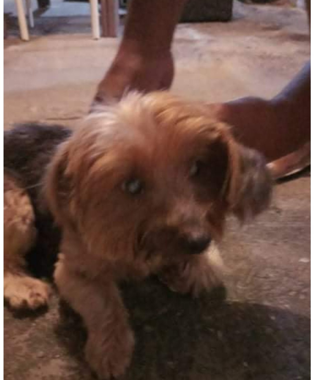 Screenshot_20220102-125218_Chrome